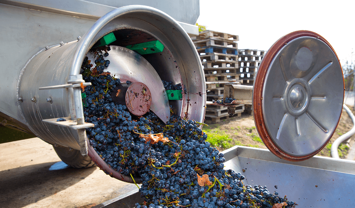 Our Mission Statement