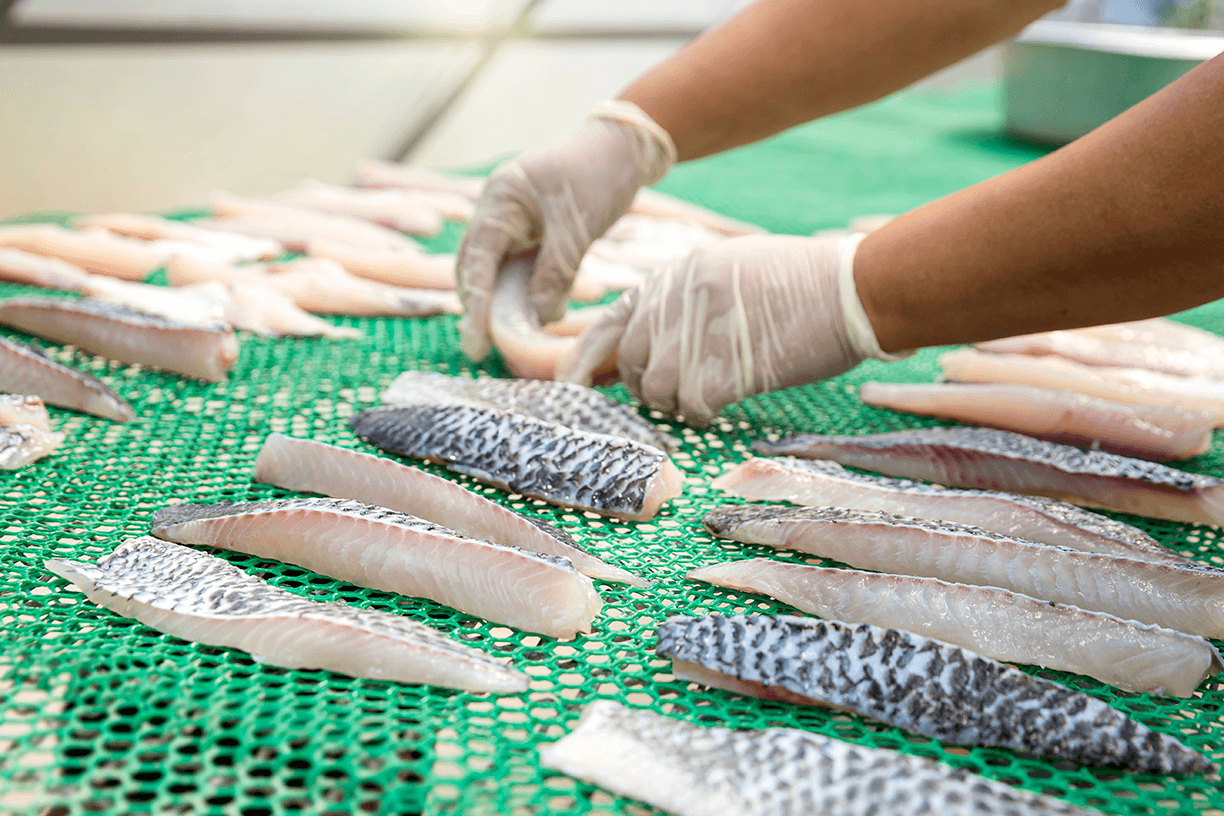 Processed and Preserved Foods